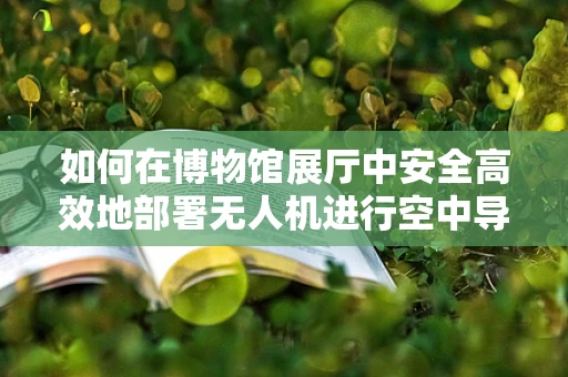如何在博物馆展厅中安全高效地部署无人机进行空中导览？