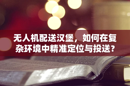 无人机配送汉堡，如何在复杂环境中精准定位与投送？