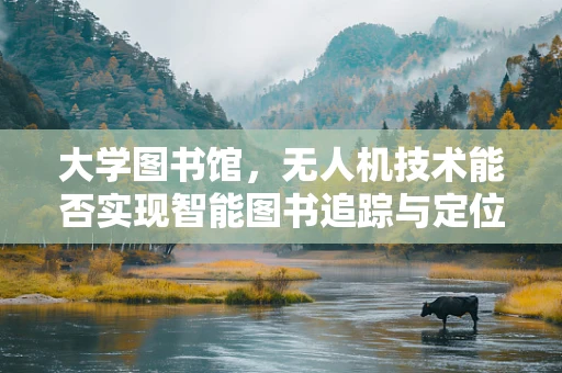 大学图书馆，无人机技术能否实现智能图书追踪与定位？