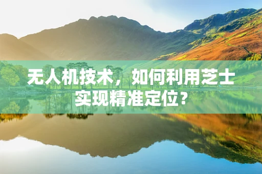 无人机技术，如何利用芝士实现精准定位？