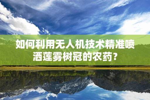 如何利用无人机技术精准喷洒莲雾树冠的农药？