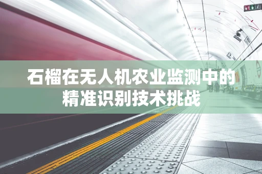 石榴在无人机农业监测中的精准识别技术挑战