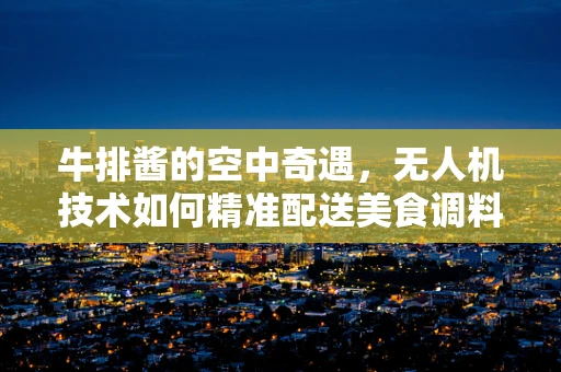 牛排酱的空中奇遇，无人机技术如何精准配送美食调料？