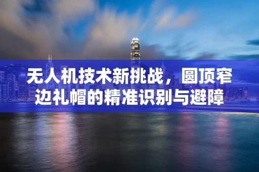 无人机技术新挑战，圆顶窄边礼帽的精准识别与避障