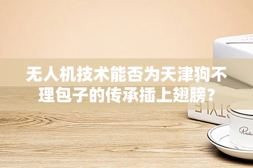无人机技术能否为天津狗不理包子的传承插上翅膀？