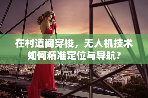 在村道间穿梭，无人机技术如何精准定位与导航？