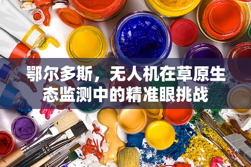 鄂尔多斯，无人机在草原生态监测中的精准眼挑战