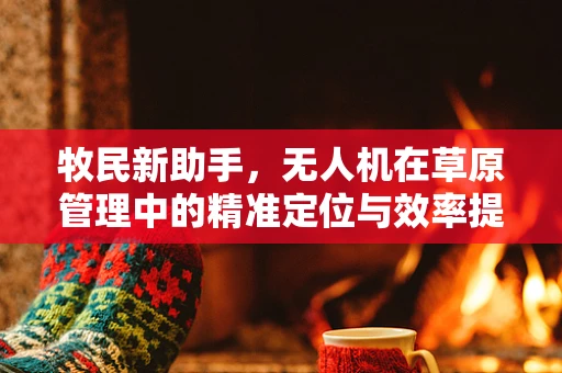 牧民新助手，无人机在草原管理中的精准定位与效率提升