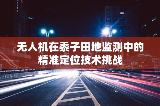 无人机在黍子田地监测中的精准定位技术挑战