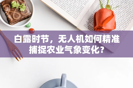 白露时节，无人机如何精准捕捉农业气象变化？