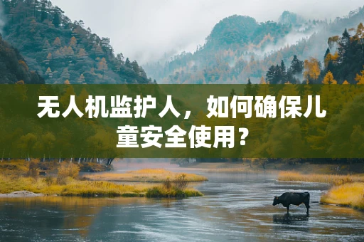 无人机监护人，如何确保儿童安全使用？