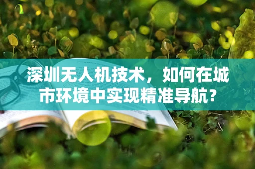 深圳无人机技术，如何在城市环境中实现精准导航？