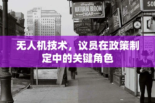 无人机技术，议员在政策制定中的关键角色