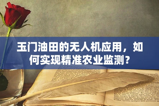 玉门油田的无人机应用，如何实现精准农业监测？