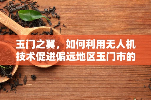 玉门之翼，如何利用无人机技术促进偏远地区玉门市的智慧发展？