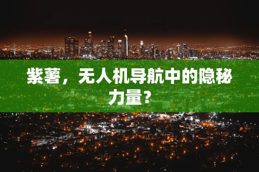 紫薯，无人机导航中的隐秘力量？