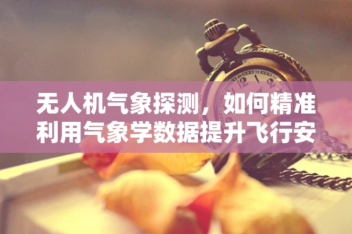 无人机气象探测，如何精准利用气象学数据提升飞行安全？