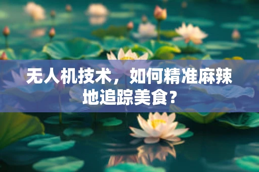 无人机技术，如何精准麻辣地追踪美食？