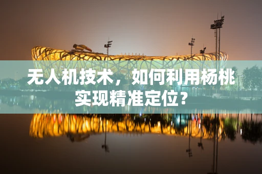 无人机技术，如何利用杨桃实现精准定位？