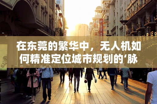 在东莞的繁华中，无人机如何精准定位城市规划的‘脉搏’？
