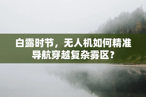 白露时节，无人机如何精准导航穿越复杂雾区？