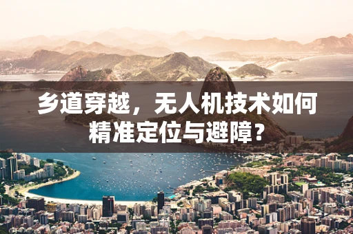 乡道穿越，无人机技术如何精准定位与避障？