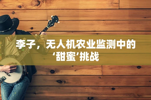 李子，无人机农业监测中的‘甜蜜’挑战