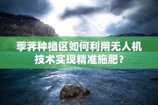荸荠种植区如何利用无人机技术实现精准施肥？