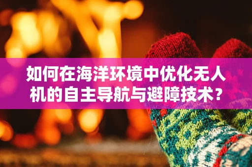 如何在海洋环境中优化无人机的自主导航与避障技术？