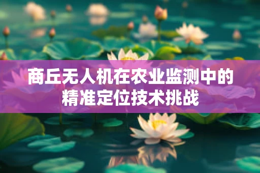 商丘无人机在农业监测中的精准定位技术挑战
