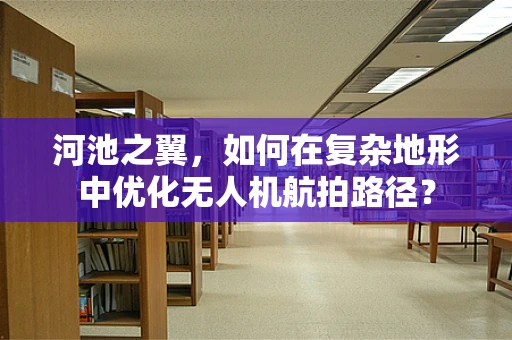 河池之翼，如何在复杂地形中优化无人机航拍路径？
