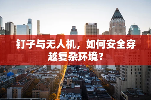 钉子与无人机，如何安全穿越复杂环境？