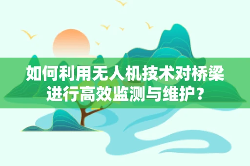 如何利用无人机技术对桥梁进行高效监测与维护？