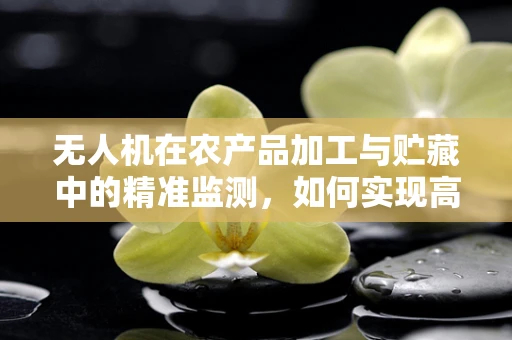 无人机在农产品加工与贮藏中的精准监测，如何实现高效与精准？