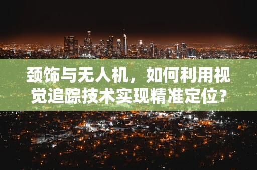 颈饰与无人机，如何利用视觉追踪技术实现精准定位？
