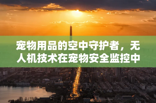 宠物用品的空中守护者，无人机技术在宠物安全监控中的应用？