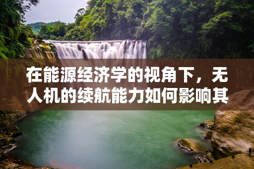 在能源经济学的视角下，无人机的续航能力如何影响其应用成本与效益？