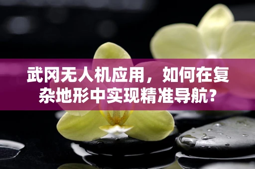 武冈无人机应用，如何在复杂地形中实现精准导航？