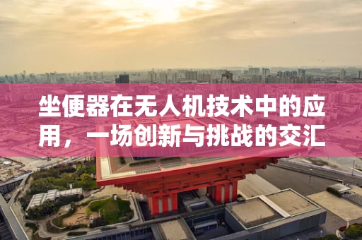 坐便器在无人机技术中的应用，一场创新与挑战的交汇