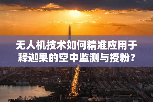 无人机技术如何精准应用于释迦果的空中监测与授粉？