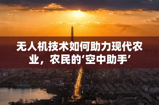 无人机技术如何助力现代农业，农民的‘空中助手’