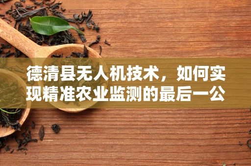 德清县无人机技术，如何实现精准农业监测的最后一公里？