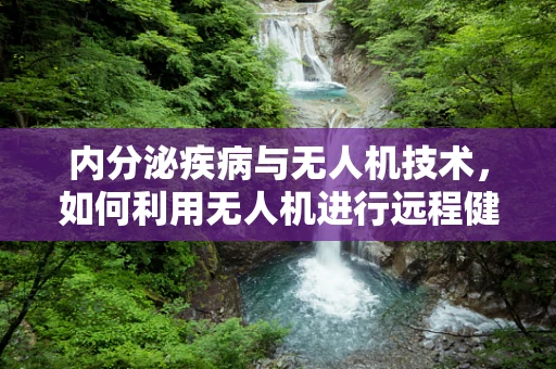 内分泌疾病与无人机技术，如何利用无人机进行远程健康监测？
