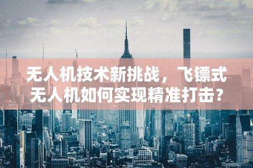 无人机技术新挑战，飞镖式无人机如何实现精准打击？