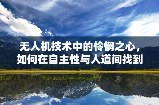 无人机技术中的怜悯之心，如何在自主性与人道间找到平衡？