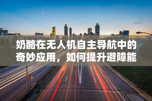 奶酪在无人机自主导航中的奇妙应用，如何提升避障能力？