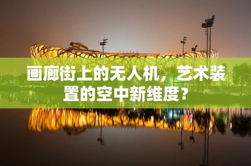 画廊街上的无人机，艺术装置的空中新维度？