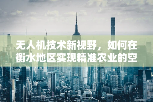 无人机技术新视野，如何在衡水地区实现精准农业的空中革命？