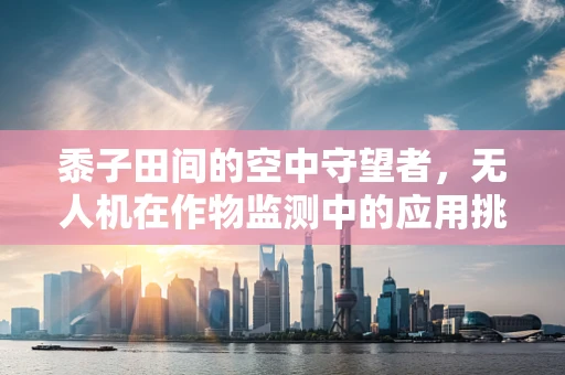 黍子田间的空中守望者，无人机在作物监测中的应用挑战