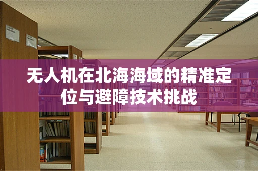 无人机在北海海域的精准定位与避障技术挑战